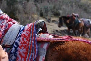 10351746_10152124648900806_7779352762215942078_n