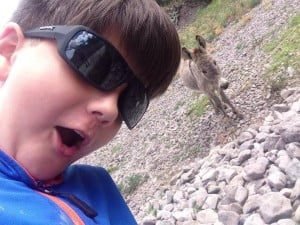 14895_10152125965000806_6301129915512313067_n