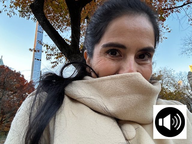 Audio Letter ~ Seasons